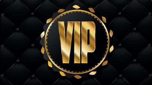 .vip域名注册局率先获得工信部域名注册管理机构审批