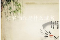 域名info是什么域名？该域名作用哪些地方？