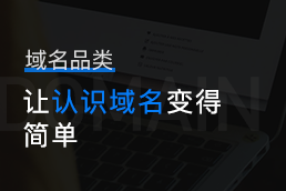 域名品类